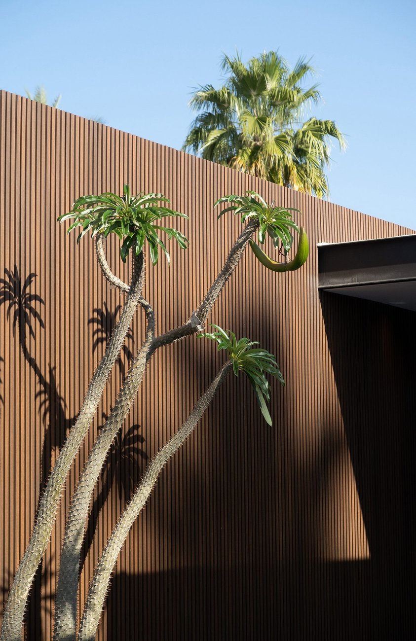 Desert foliage surrounding a uniquely designed wall at our California desert retreat.